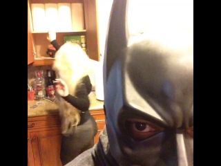 if batdad was black.