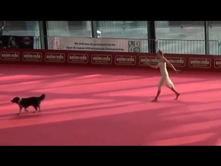 the dog and her owner just stunned the audience