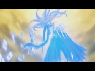 bleach amv - courtesy call