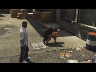 sex dogs grand theft auto 5